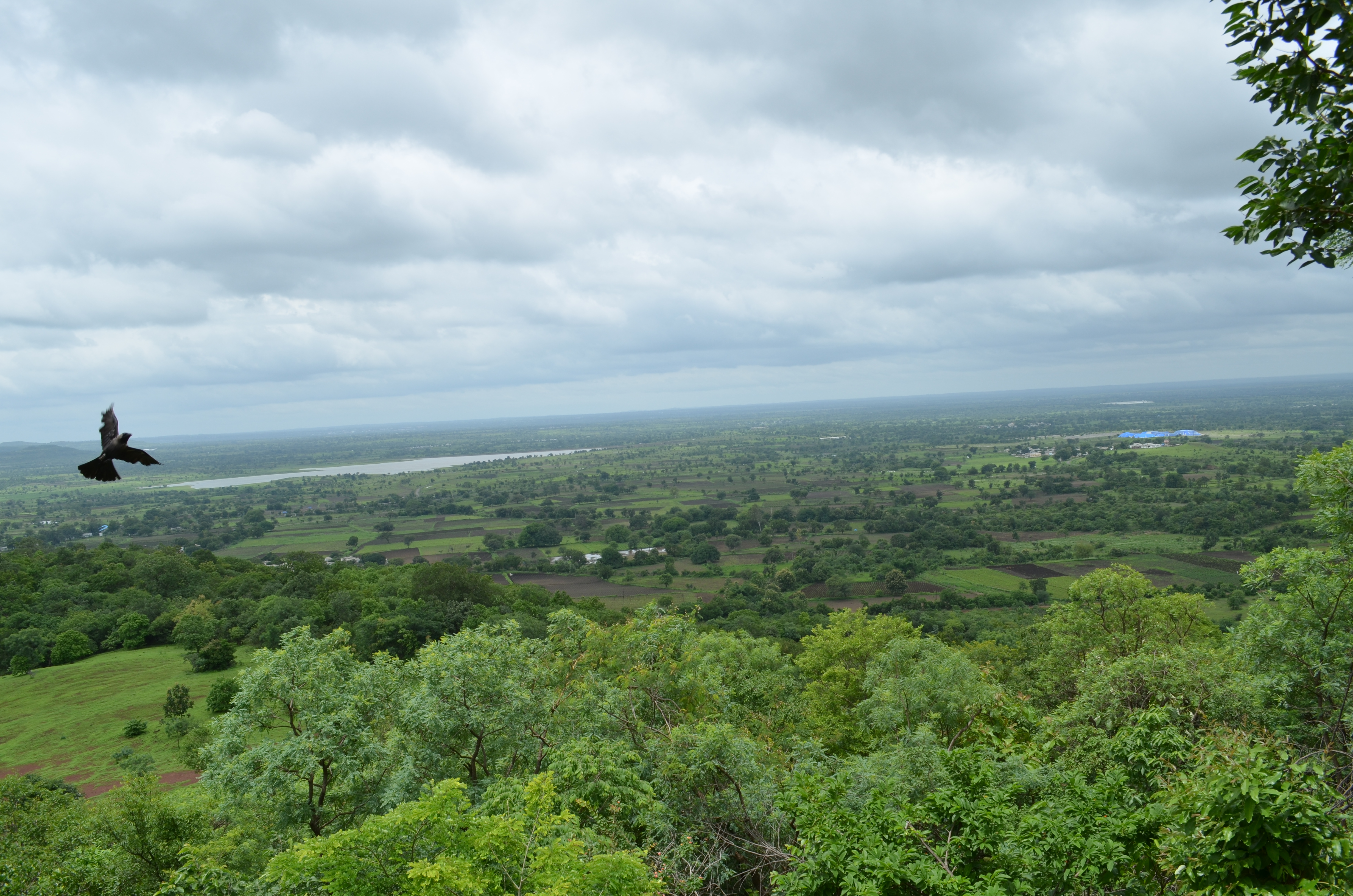 Ananthagiri Hills: Escape to Hyderabad’s Wildest Trails