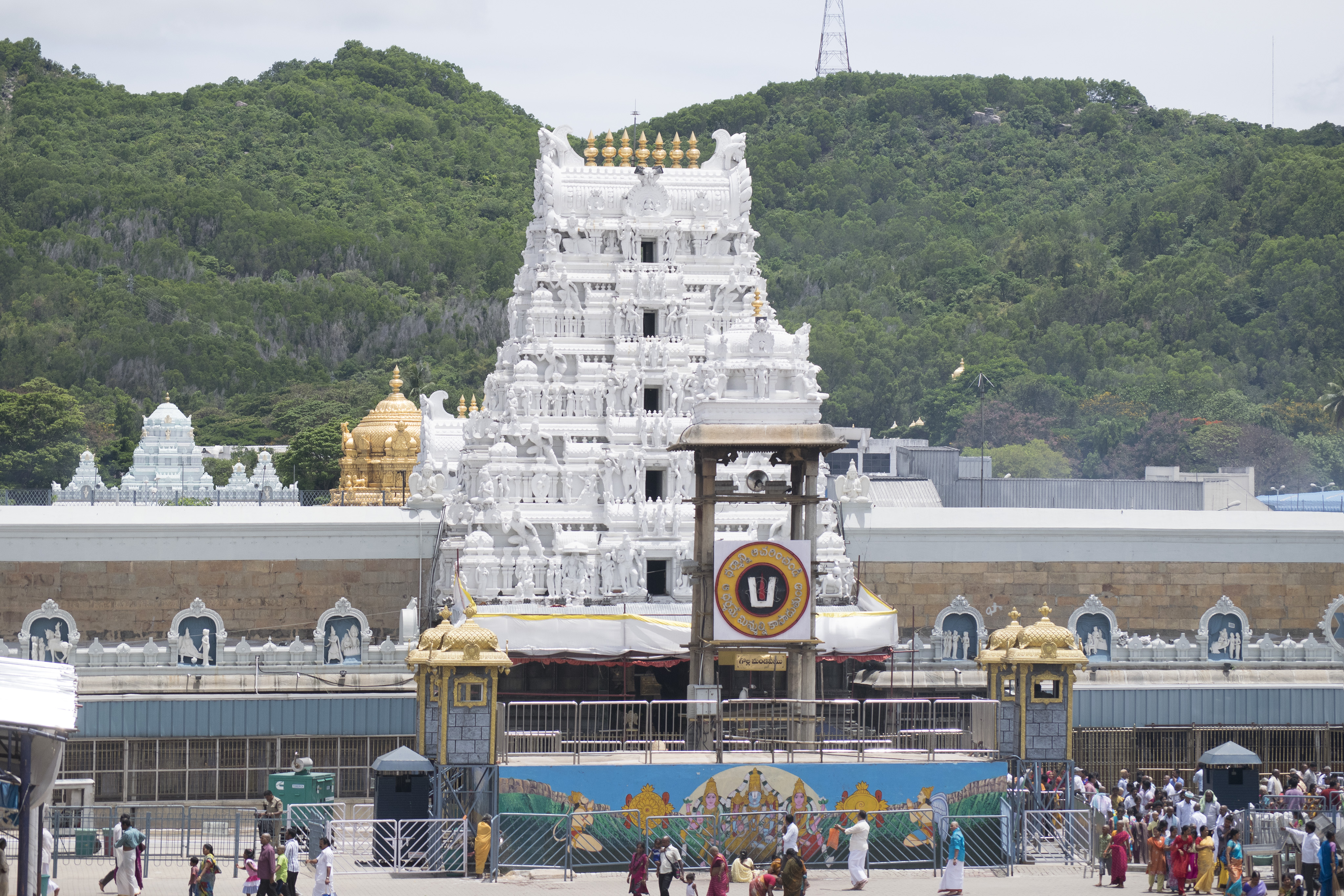 A wide-angle, atmospheric shot of the golden dome of the Venkateswara Temple in Tirumala, glittering under the first rays of dawn as thick, ethereal mountain mist rolls over the deep green peaks of the Seshachalam hills.